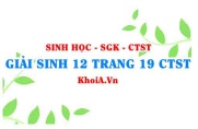 Giải Sinh 12 trang 19 Chân trời Sáng tạo